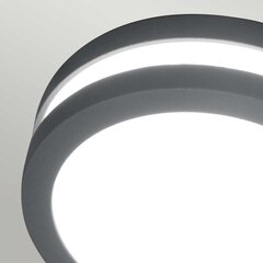 Настенный светильник для улицы Elstead Lighting Ano ANO-1W цена и информация | Уличное освещение | 220.lv