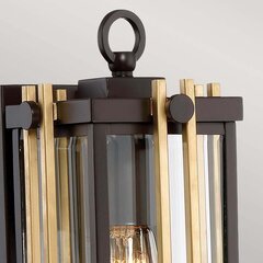 Настенный светильник для улицы Elstead Lighting Goldenrod QZ-GOLDENROD2-S цена и информация | Уличное освещение | 220.lv