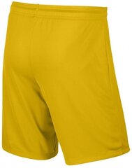 Мужские спортивные шорты Nike 725887-739, желтые цена и информация | Мужская спортивная одежда | 220.lv