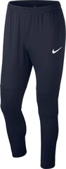 Штаны Nike для мальчиков Dry Park 18 Pant KPZ, AA2087 451 цена и информация | Штаны для мальчиков | 220.lv