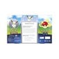 Pokemon TCG GO Premium Collection Radiant Eevee cena un informācija | Datorspēļu suvenīri | 220.lv