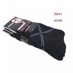 Мужские носки (3 пары) SW-BF2016-26 цена и информация | Мужские носки | 220.lv
