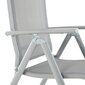 Ērts saliekams dārza krēsls, pelēks cena un informācija | Dārza krēsli | 220.lv