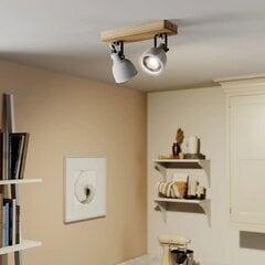 Lindby Mitis LED griestu lampa, priedes koks, 2 spuldzes. cena un informācija | Griestu lampas | 220.lv