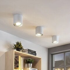 Rosalie LED apakšējais apgaismojums, regulējams aptumšojums, 1 spuldze, apaļa, balta cena un informācija | Griestu lampas | 220.lv