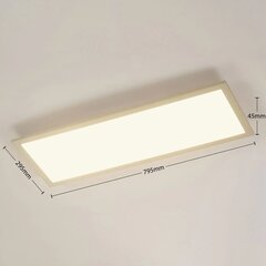 Archchio Enja LED panelis, 79,5 cm x 29,5 cm цена и информация | Монтируемые светильники, светодиодные панели | 220.lv