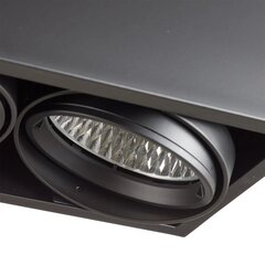 Arcchio Cirdan LED griestu lampa, 2 spuldzes, melns cena un informācija | Griestu lampas | 220.lv