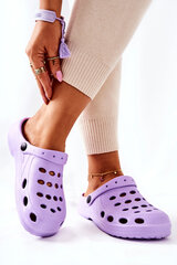 Тапки Crocs™ Classic 4 Her Clog цена и информация | Шлепанцы, тапочки для женщин | 220.lv