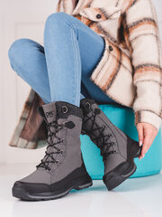 Женские зимние ботинки на шнуровке DK Softshell цена и информация | Женские сапоги | 220.lv