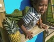 Bērnu rotaļu laukums Jungle Gym Resort 1-Swing cena un informācija | Bērnu rotaļu laukumi, mājiņas | 220.lv