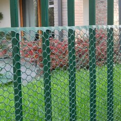 EXAGON - Plastmasas aizsargsiets (hexagonal) zaļš, 1x5m cena un informācija | Dārza instrumenti | 220.lv