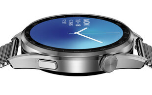 DT3 Silver Steel цена и информация | Смарт-часы (smartwatch) | 220.lv