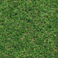 Искусственная трава Irish mat, зеленый, 1 x 3 м цена и информация | Садовые инструменты | 220.lv