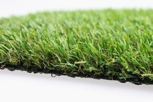 Искусственная трава Irish mat plus, зеленый, 2 x 5 м цена и информация | Садовые инструменты | 220.lv