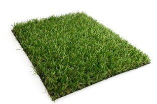 Искусственная трава Irish mat plus, зеленый, 2 x 5 м цена и информация | Садовые инструменты | 220.lv