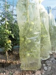MR. TOMATO 0,60 x 10m, Pasargājoša cauruļveida plēve, kas paredzēta tomātu audzēšanai cena un informācija | Dārza instrumenti | 220.lv