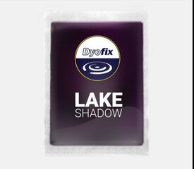 Dekoratīvā dīķu krāsa Dyofix Lake Shadow pret aļģēm un ūdenszālēm 100 g, ēna, 400m3 цена и информация | Садовые бассейны и товары для их ухода | 220.lv