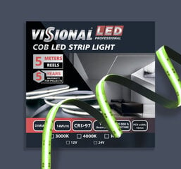 LED-лента Visional Professional, RGB, 24 В, 5 м цена и информация | Светодиодные ленты | 220.lv