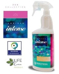 Izsmidzināms aromāts Sucitesa Ambigen Intense, 750ml cena un informācija | Mājas aromāti | 220.lv