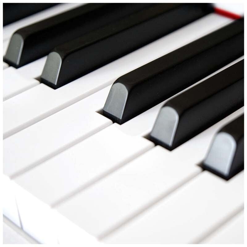 Digitālās klavieres BLANTH BL-8808 WH cena un informācija | Taustiņinstrumenti | 220.lv