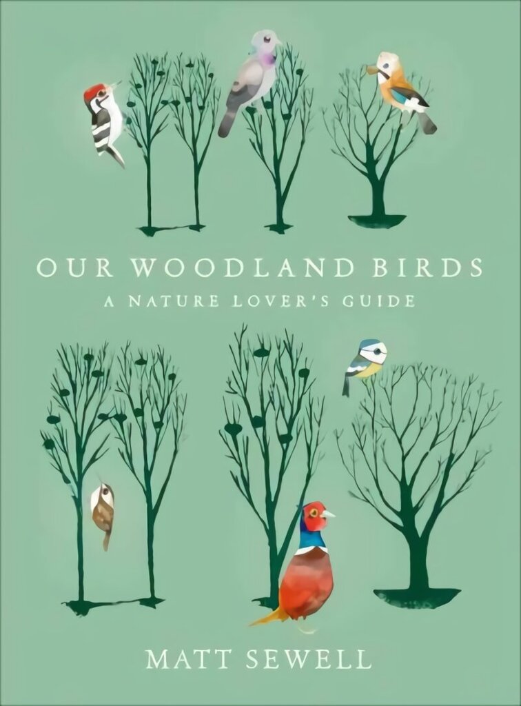 Our Woodland Birds cena un informācija | Enciklopēdijas, uzziņu literatūra | 220.lv