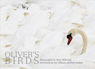 Oliver's Birds: By Oliver Hellowell Annotated edition цена и информация | Книги по фотографии | 220.lv