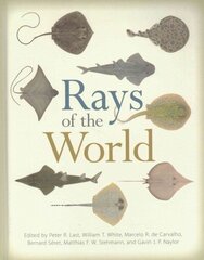 Rays of the World cena un informācija | Izglītojošas grāmatas | 220.lv