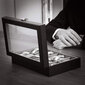 Pulksteņu kaste ar stikla vāku cena un informācija | Interjera priekšmeti | 220.lv