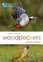 RSPB Spotlight Woodpeckers cena un informācija | Enciklopēdijas, uzziņu literatūra | 220.lv