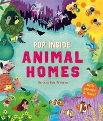 Pop Inside: Animal Homes цена и информация | Книги для малышей | 220.lv