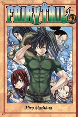 Fairy Tail 41, 41 цена и информация | Фантастика, фэнтези | 220.lv