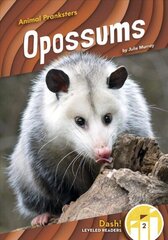 Animal Pranksters: Oppossums cena un informācija | Grāmatas pusaudžiem un jauniešiem | 220.lv