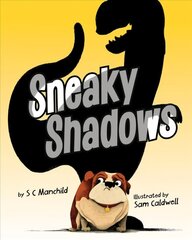Sneaky Shadows цена и информация | Книги для самых маленьких | 220.lv