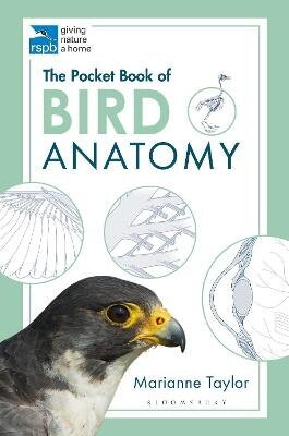 Pocket Book of Bird Anatomy cena un informācija | Izglītojošas grāmatas | 220.lv