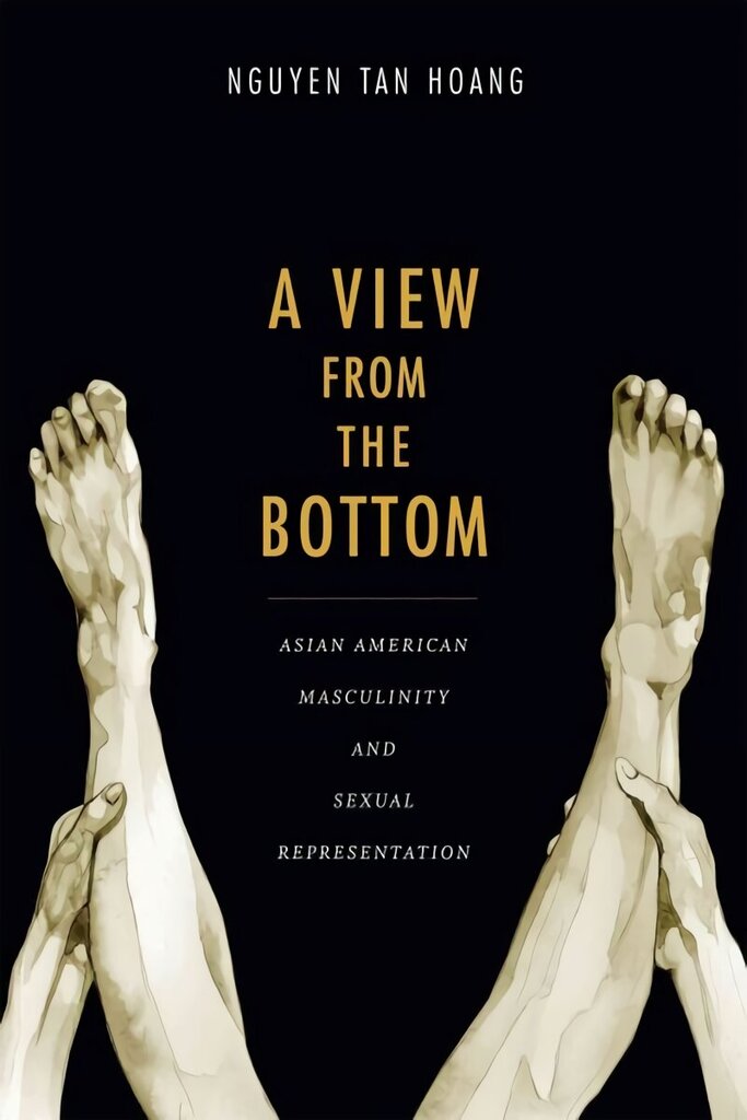 View from the Bottom: Asian American Masculinity and Sexual Representation cena un informācija | Mākslas grāmatas | 220.lv