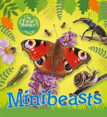 My First Book of Nature: Minibeasts цена и информация | Книги для подростков и молодежи | 220.lv