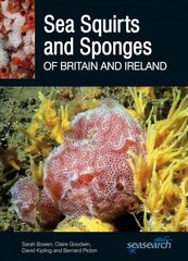Sea Squirts and Sponges of Britain and Ireland цена и информация | Развивающие книги | 220.lv