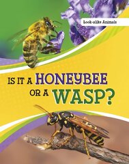 Is It a Honeybee or a Wasp? cena un informācija | Grāmatas pusaudžiem un jauniešiem | 220.lv