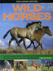 Exploring Nature: Wild Horses cena un informācija | Grāmatas pusaudžiem un jauniešiem | 220.lv