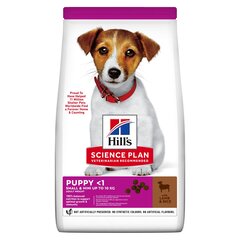 Hill's Science Plan Puppy Small&Mini kucēnu barība ar vistu, 0,3 kg cena un informācija | Sausā barība suņiem | 220.lv