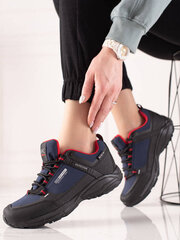 DK sieviešu trekinga apavi, tumši zili cena un informācija | Sporta apavi sievietēm | 220.lv
