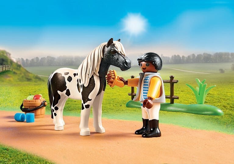 71242 PLAYMOBIL® Country, Lauku jāšanas nodarbības цена и информация | Konstruktori | 220.lv