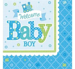 Салфетки «Welcome Little One - Boy», 33x33 см, 20 шт, 501461 цена и информация | Праздничная одноразовая посуда | 220.lv
