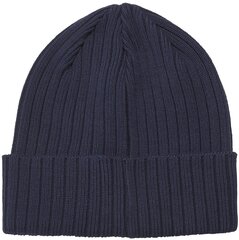 Шапка Reebok Te Beanie Blue GH0430 GH0430/OSFM цена и информация | Мужские шарфы, шапки, перчатки | 220.lv