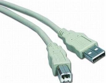PremiumCord USB-A - USB-B 2 m (ku2ab2) cena un informācija | Savienotājkabeļi | 220.lv