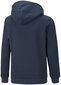 Puma Džemperi Ess Block Hoodie Brown Green Blue 849081 73 849081 73/116 цена и информация | Zēnu jakas, džemperi, žaketes, vestes | 220.lv