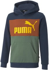 Puma Džemperi Ess Block Hoodie Brown Green Blue 849081 73 849081 73/116 cena un informācija | Zēnu jakas, džemperi, žaketes, vestes | 220.lv