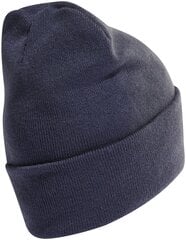 Adidas Cepures Logo Beanie Blue HL4809 HL4809/OSFM cena un informācija | Vīriešu cepures, šalles, cimdi | 220.lv