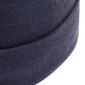 Adidas Cepures Logo Beanie Blue HL4809 HL4809/OSFM cena un informācija | Vīriešu cepures, šalles, cimdi | 220.lv