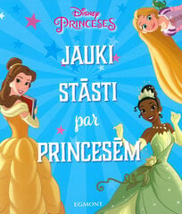 Jauki stāsti par princesēm. Princeses. Disney цена и информация | Сказки | 220.lv